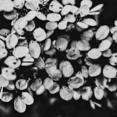 ブランドのコンセプトについて