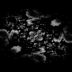 初めてのブログ