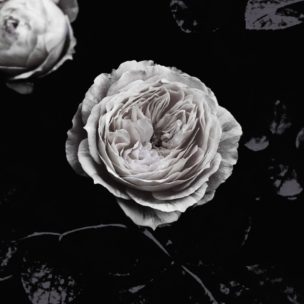 身に付けるものを通して自己表明すること